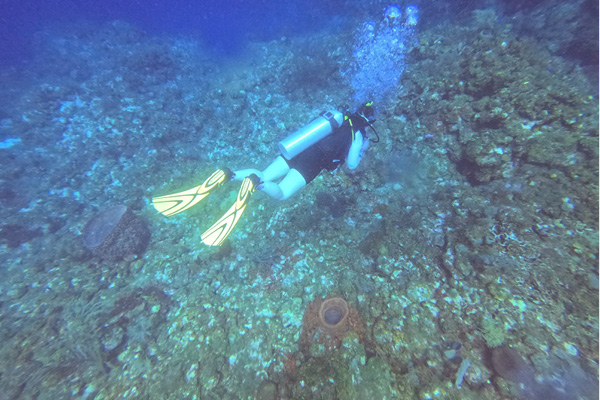 patient scuba dives after hip replacement surgery